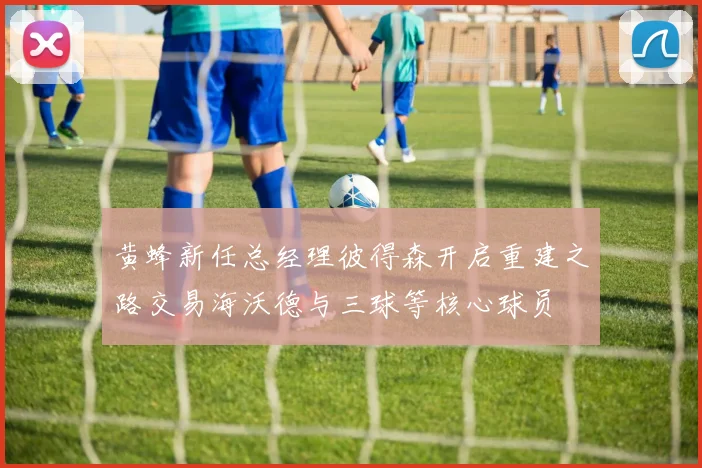 黄蜂新任总经理彼得森开启重建之路交易海沃德与三球等核心球员
