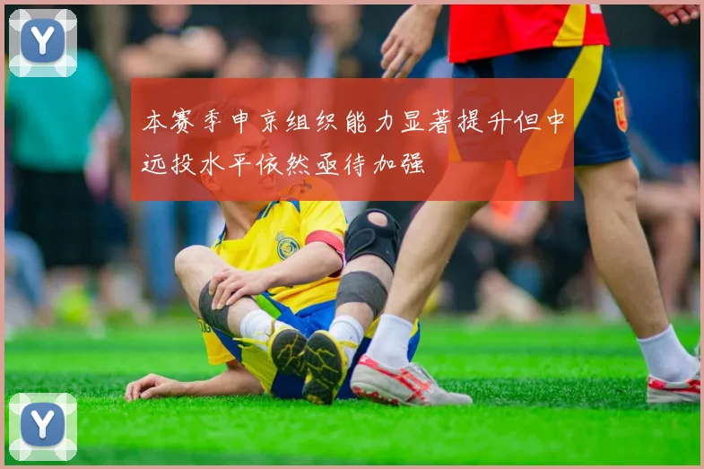 本赛季申京组织能力显著提升但中远投水平依然亟待加强